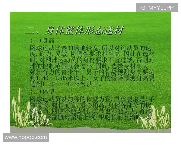 上海网球队耐力训练与比赛表现的深度分析与探讨