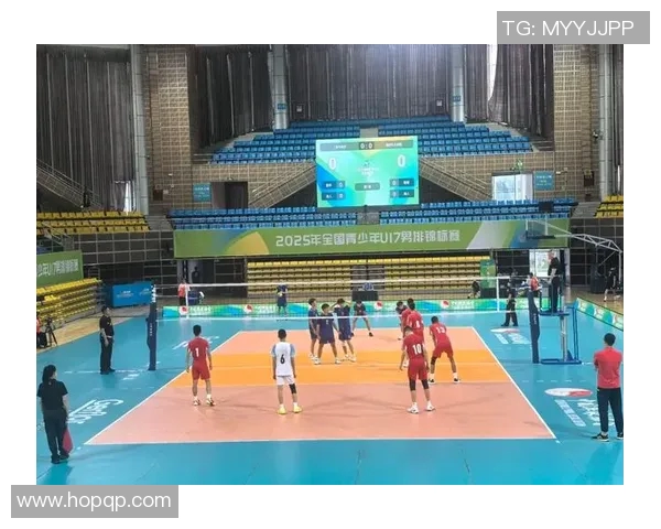 上海排球队实力飙升排球力量排名创历史新高