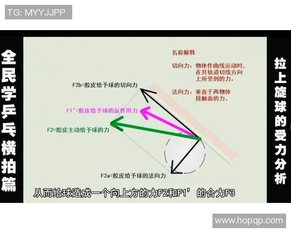 乒乓球深度解析：揭秘北京乒乓球队反击战术与训练秘诀