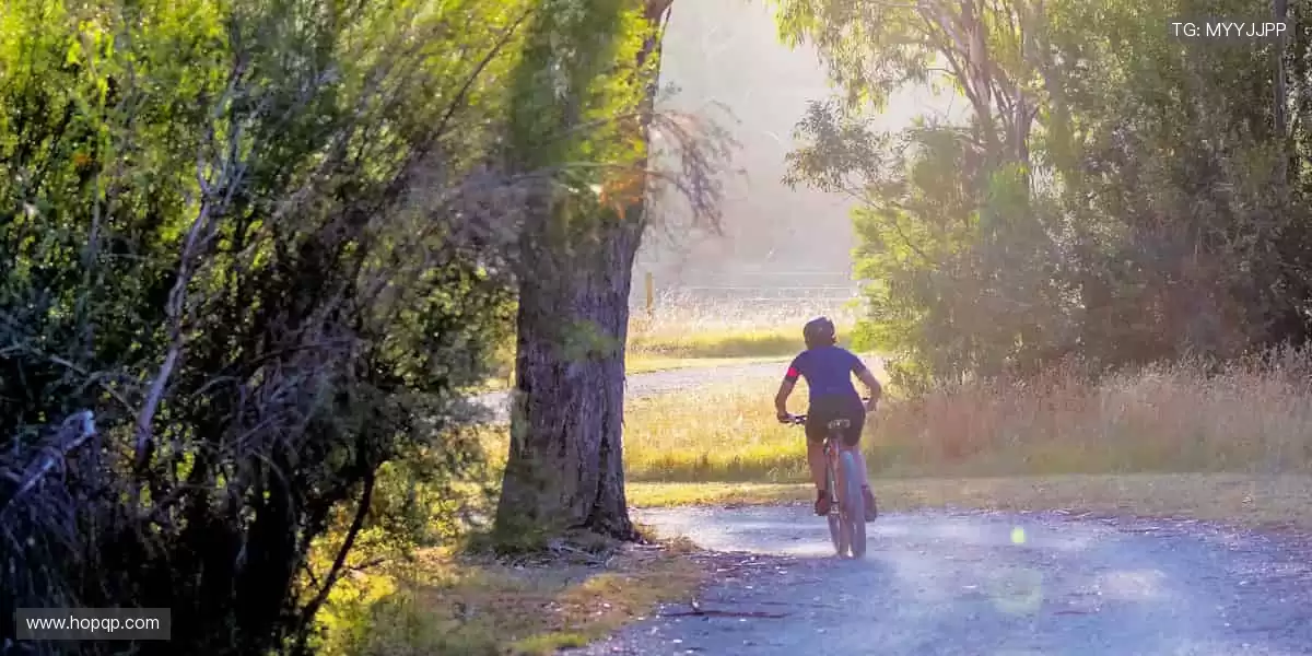 专业周边,品质之选!🎾